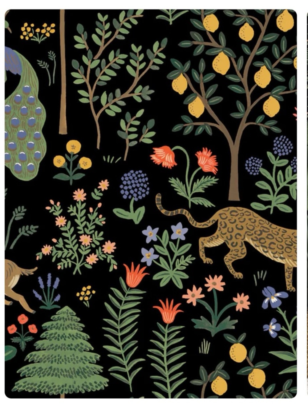 Rifle Paper Co and York, Peel & Stick Menagerie and Botanical Wallpaper